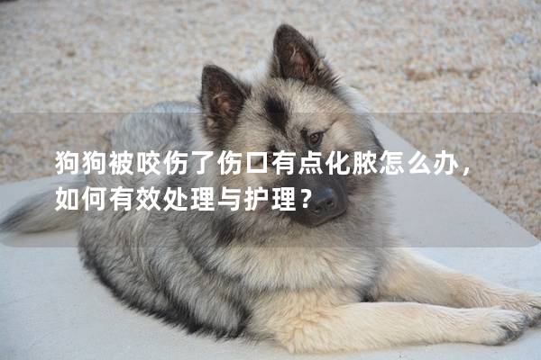 狗狗被咬伤了伤口有点化脓怎么办，如何有效处理与护理？