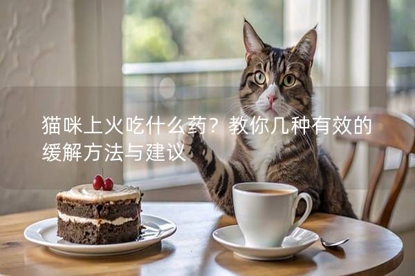 猫咪上火吃什么药？教你几种有效的缓解方法与建议