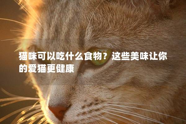 猫咪可以吃什么食物？这些美味让你的爱猫更健康