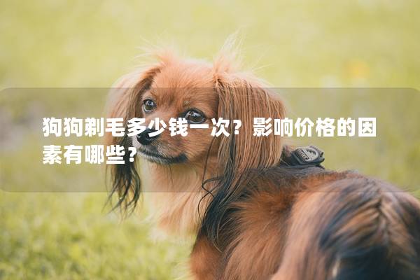 狗狗剃毛多少钱一次？影响价格的因素有哪些？