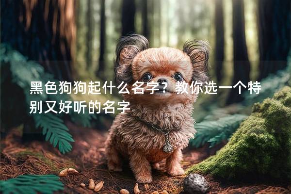 黑色狗狗起什么名字？教你选一个特别又好听的名字