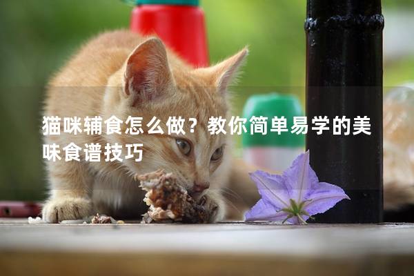 猫咪辅食怎么做？教你简单易学的美味食谱技巧