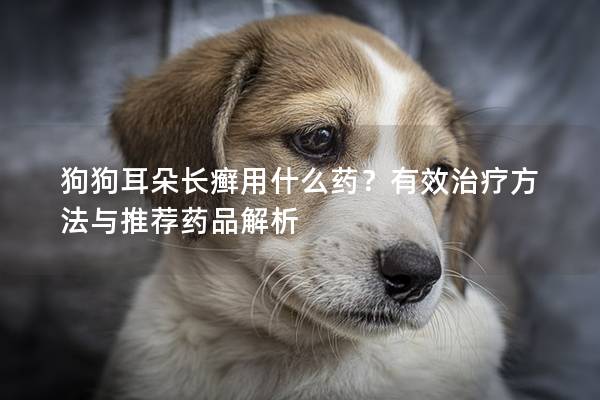 狗狗耳朵长癣用什么药？有效治疗方法与推荐药品解析