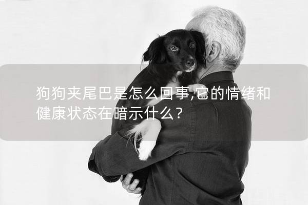 狗狗夹尾巴是怎么回事,它的情绪和健康状态在暗示什么？