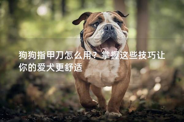 狗狗指甲刀怎么用？掌握这些技巧让你的爱犬更舒适