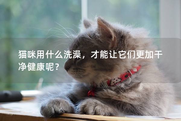 猫咪用什么洗澡，才能让它们更加干净健康呢？