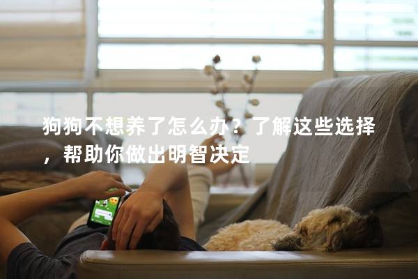 狗狗不想养了怎么办?了解这些选择,帮助你做出明智决定
