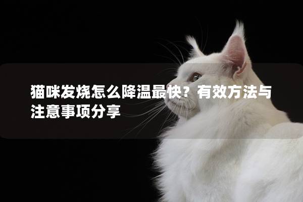 猫咪发烧怎么降温最快？有效方法与注意事项分享