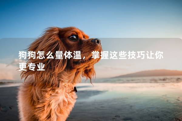 狗狗怎么量体温，掌握这些技巧让你更专业