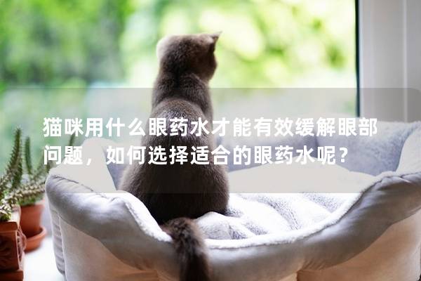 猫咪用什么眼药水才能有效缓解眼部问题，如何选择适合的眼药水呢？