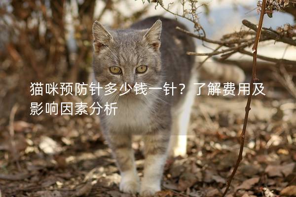 猫咪预防针多少钱一针？了解费用及影响因素分析