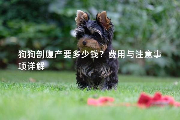 狗狗剖腹产要多少钱？费用与注意事项详解