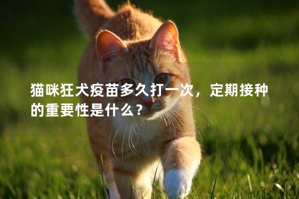 猫咪狂犬疫苗多久打一次，定期接种的重要性是什么？