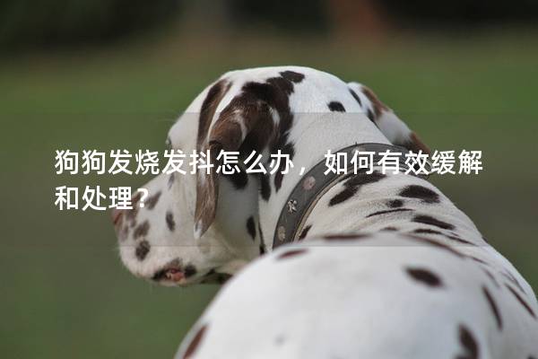 狗狗发烧发抖怎么办，如何有效缓解和处理？