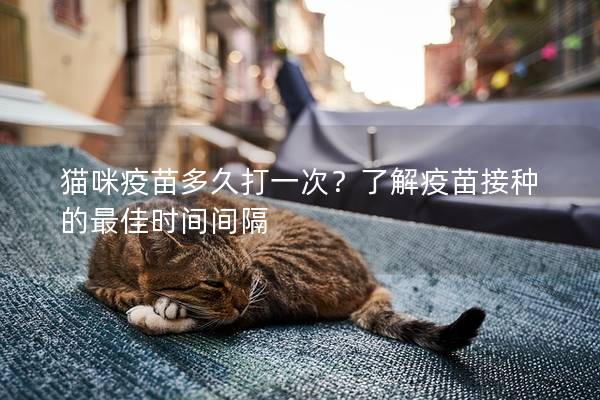 猫咪疫苗多久打一次？了解疫苗接种的最佳时间间隔