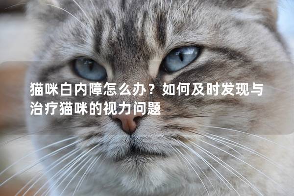 猫咪白内障怎么办？如何及时发现与治疗猫咪的视力问题