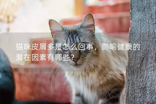 猫咪皮屑多是怎么回事，影响健康的潜在因素有哪些？