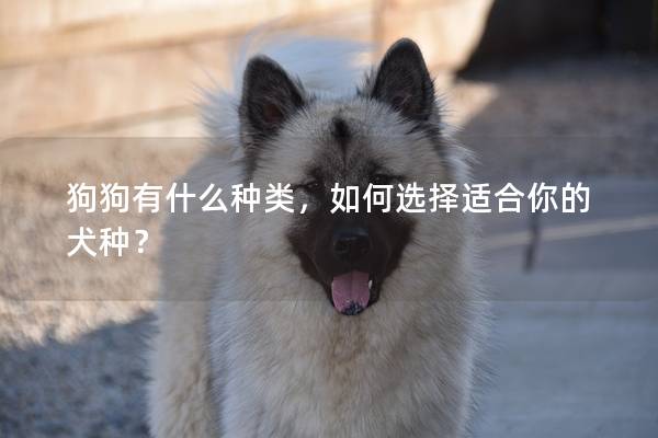 狗狗有什么种类，如何选择适合你的犬种？