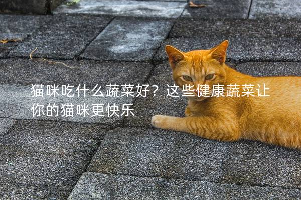 猫咪吃什么蔬菜好？这些健康蔬菜让你的猫咪更快乐