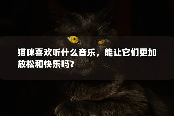 猫咪喜欢听什么音乐，能让它们更加放松和快乐吗？