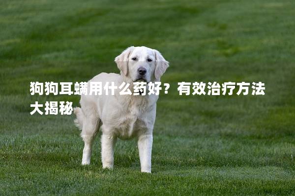 狗狗耳螨用什么药好?有效治疗方法大揭秘