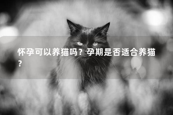 怀孕可以养猫吗？孕期是否适合养猫？