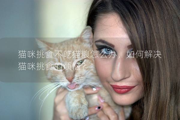 猫咪挑食不吃猫粮怎么办，如何解决猫咪挑食的烦恼？