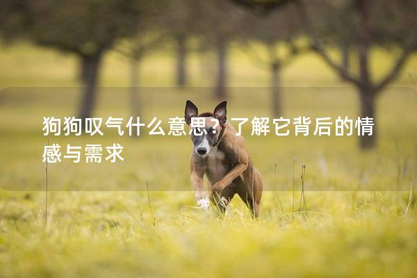 狗狗叹气什么意思？了解它背后的情感与需求