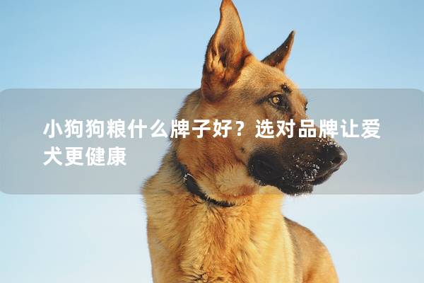 小狗狗粮什么牌子好？选对品牌让爱犬更健康