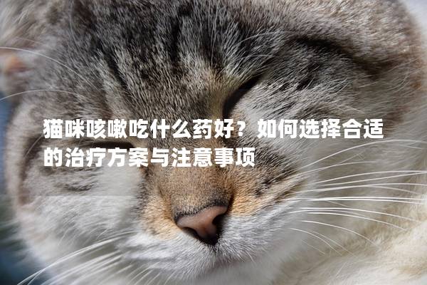 猫咪咳嗽吃什么药好？如何选择合适的治疗方案与注意事项