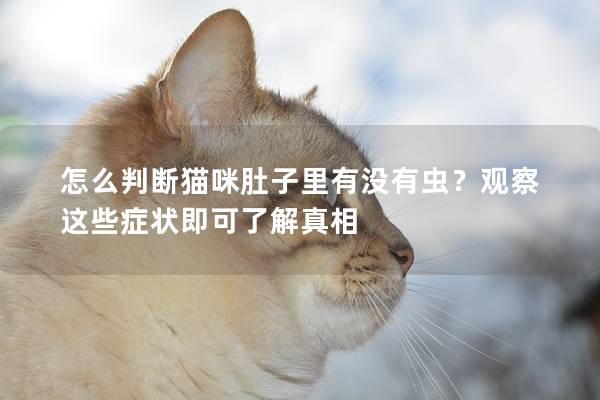 怎么判断猫咪肚子里有没有虫？观察这些症状即可了解真相