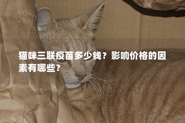 猫咪三联疫苗多少钱？影响价格的因素有哪些？