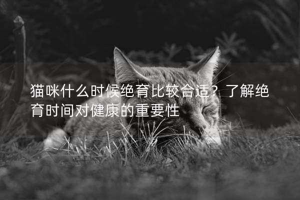 猫咪什么时候绝育比较合适？了解绝育时间对健康的重要性