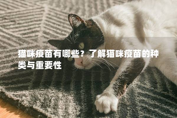 猫咪疫苗有哪些？了解猫咪疫苗的种类与重要性