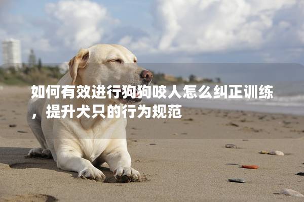 如何有效进行狗狗咬人怎么纠正训练，提升犬只的行为规范