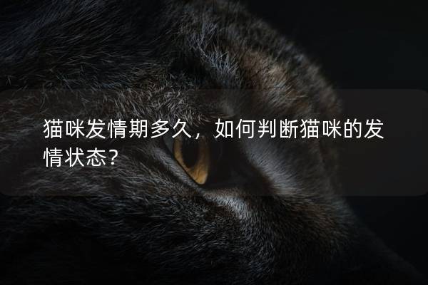 猫咪发情期多久，如何判断猫咪的发情状态？