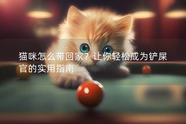 猫咪怎么带回家？让你轻松成为铲屎官的实用指南