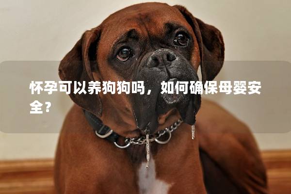 怀孕可以养狗狗吗，如何确保母婴安全？