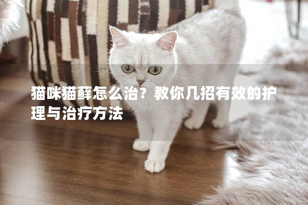 猫咪猫藓怎么治？教你几招有效的护理与治疗方法