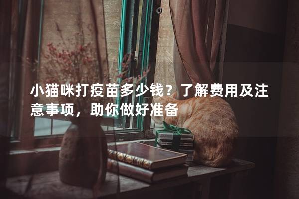 小猫咪打疫苗多少钱？了解费用及注意事项，助你做好准备