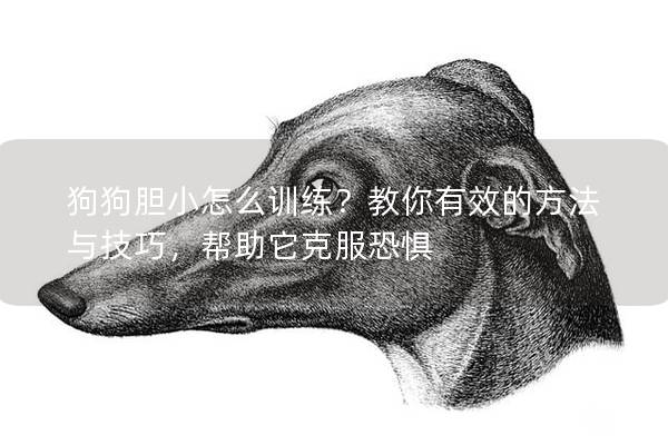 狗狗胆小怎么训练？教你有效的方法与技巧，帮助它克服恐惧