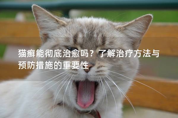 猫癣能彻底治愈吗？了解治疗方法与预防措施的重要性