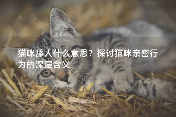 猫咪舔人什么意思？探讨猫咪亲密行为的深层含义