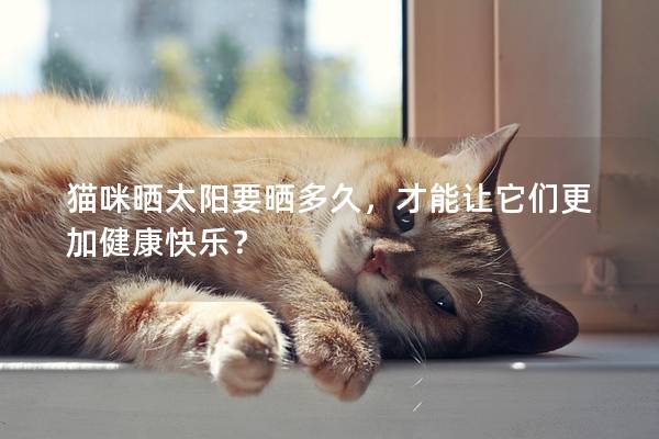 猫咪晒太阳要晒多久，才能让它们更加健康快乐？