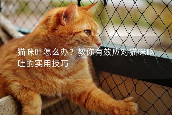 猫咪吐怎么办？教你有效应对猫咪呕吐的实用技巧