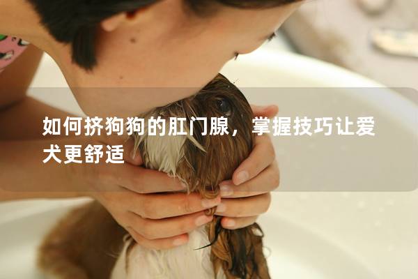 如何挤狗狗的肛门腺，掌握技巧让爱犬更舒适