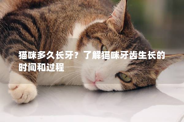 猫咪多久长牙？了解猫咪牙齿生长的时间和过程