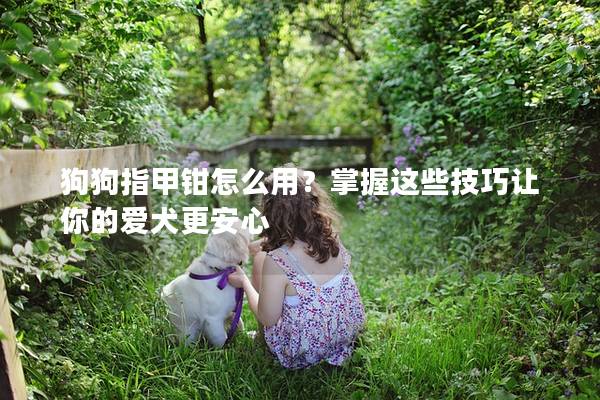 狗狗指甲钳怎么用？掌握这些技巧让你的爱犬更安心