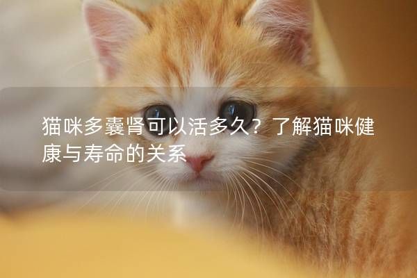 猫咪多囊肾可以活多久？了解猫咪健康与寿命的关系