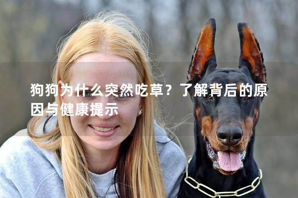 狗狗为什么突然吃草？了解背后的原因与健康提示